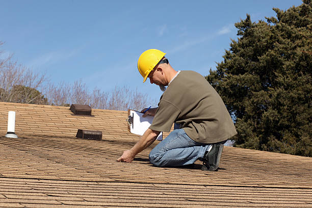 Best Roof Moss and Algae Removal  in Mcmillin, WA